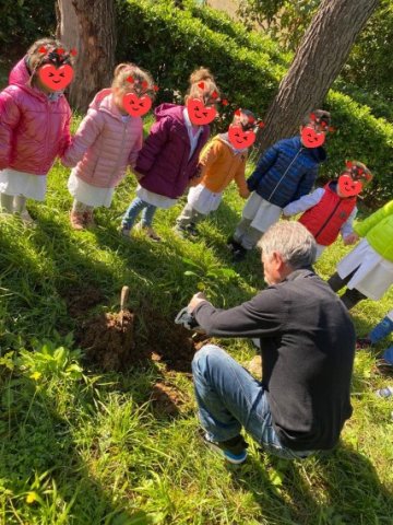 Albero Castellonorato